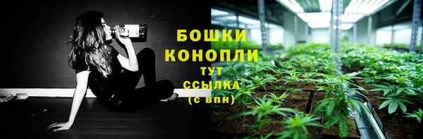 PSILOCYBIN Алексеевка