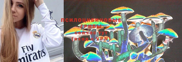 PSILOCYBIN Алексеевка